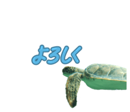789611792