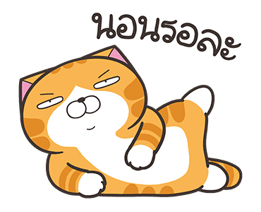 ลายที่ 1