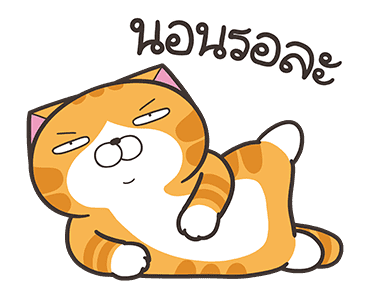 เหมียวซ่า: ไอ้ต้าวน่ารัก รูปที่ 1