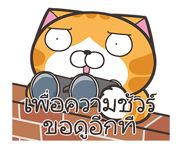 ลายที่ 3