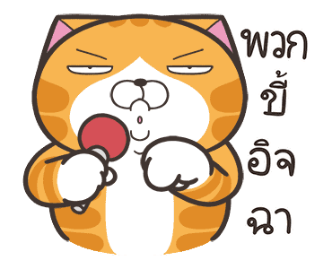 ลายที่ 5