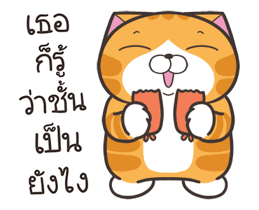 ลายที่ 7