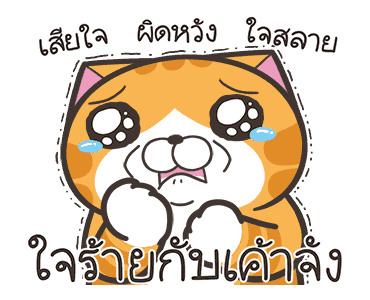 ลายที่ 11