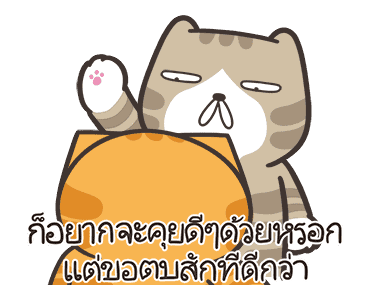 ลายที่ 13