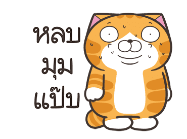 ลายที่ 15