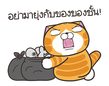 ลายที่ 19