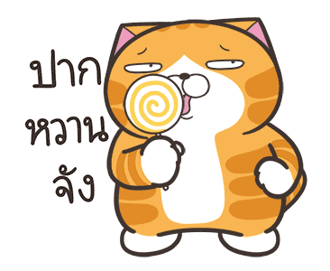 ลายที่ 23