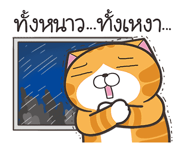 ลายที่ 29