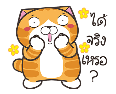 ลายที่ 41