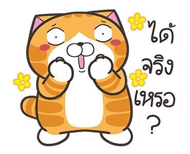 เหมียวซ่า: ไอ้ต้าวน่ารัก รูปที่ 21