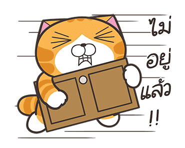 ลายที่ 43