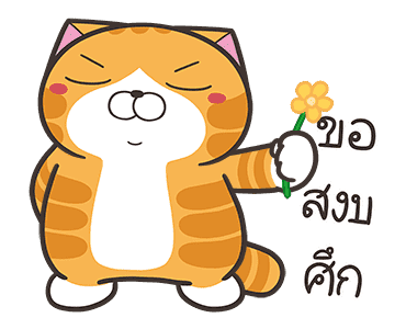 ลายที่ 45