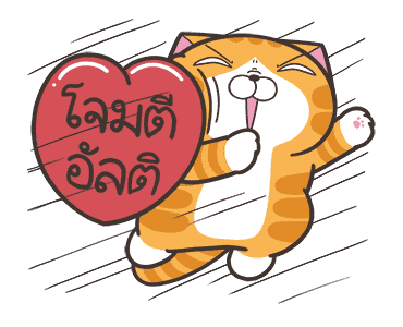 ลายที่ 47