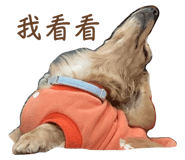 789668430