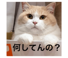 789669867