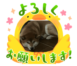 789671490