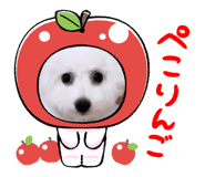 789677186