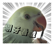 789683720