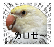 789683721