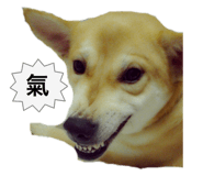 789698362