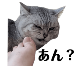 789725666