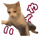 789733111