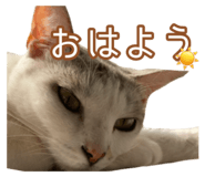 789733113