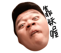 78975306