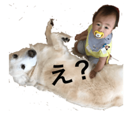 78975461