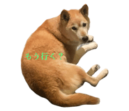 789759923