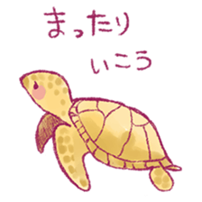 7897706
