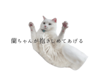 789793033
