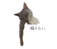 789793036