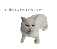789793037