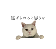 789793043