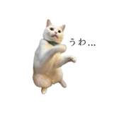 789793046