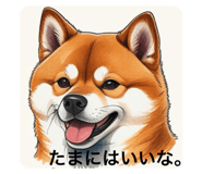 789795651