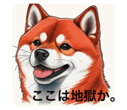 789795653