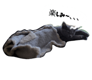 789828165