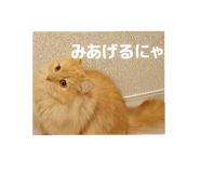 789829931