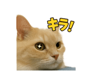 789829934