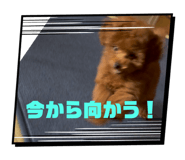789839598