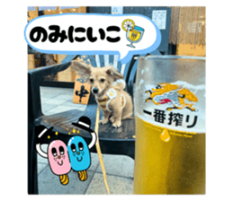 789841525
