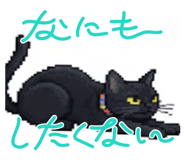 789847582