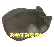 789865299