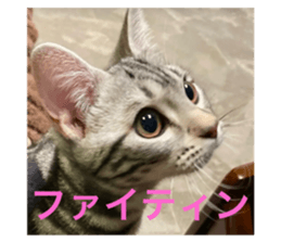 789872314