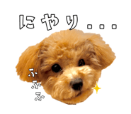 789884060