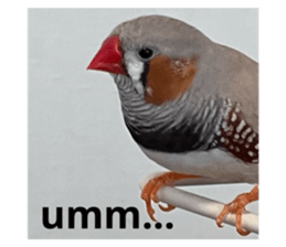 789894641