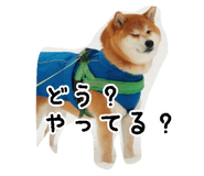 789901354
