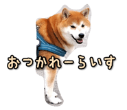 789901355
